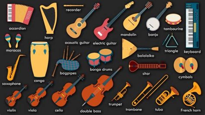 Discover The Instruments She Plays