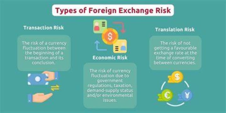 Foreign Currency Exchange Risk What You Need To Know