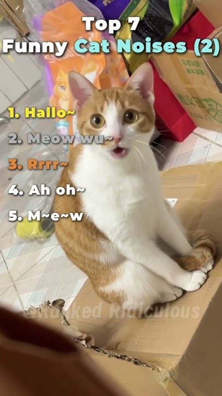 Top 142 + Funny noises for babies